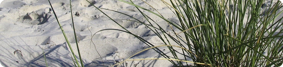 410851_Impressum_Leiste.jpg